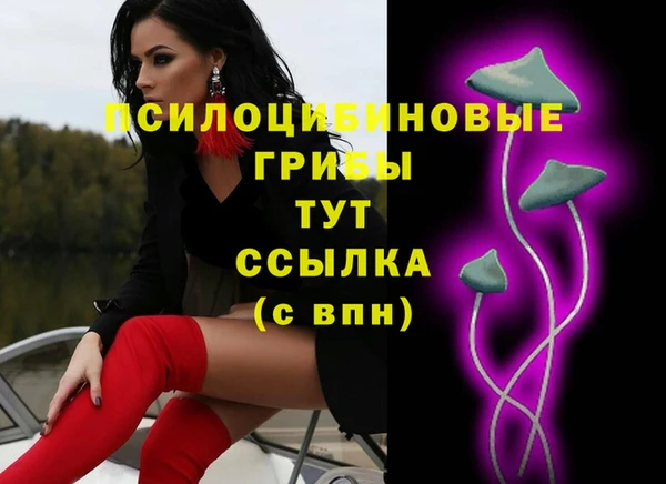 МДПВ Абинск