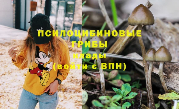 дживик Абаза