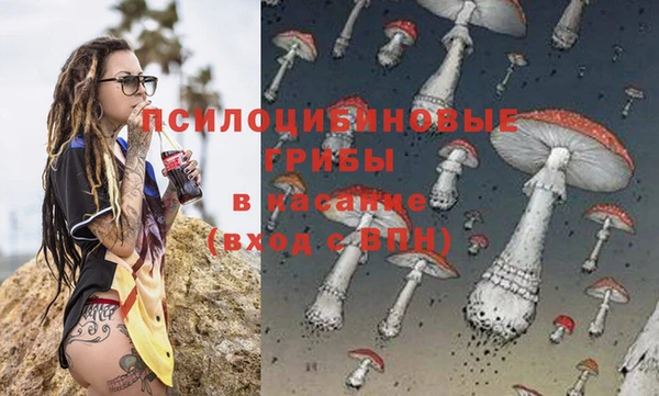 МДПВ Абинск