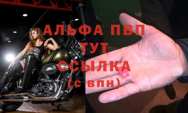дживик Абаза